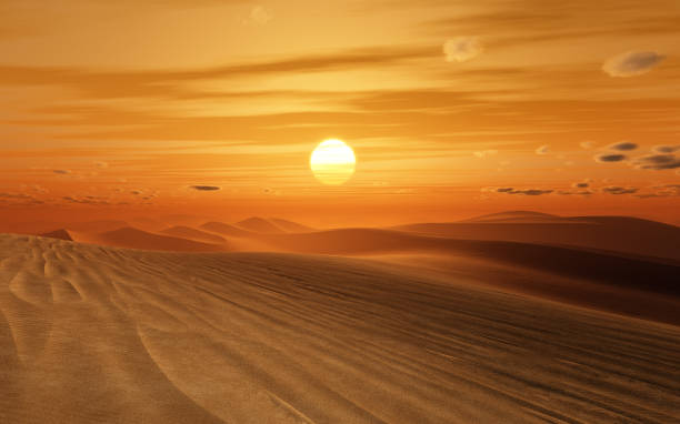 Sunset over Sahara dunes